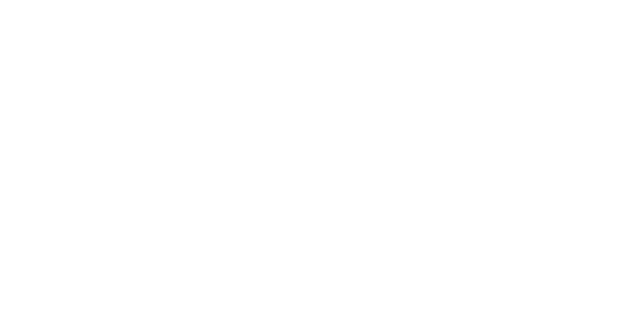 ELSA Brno